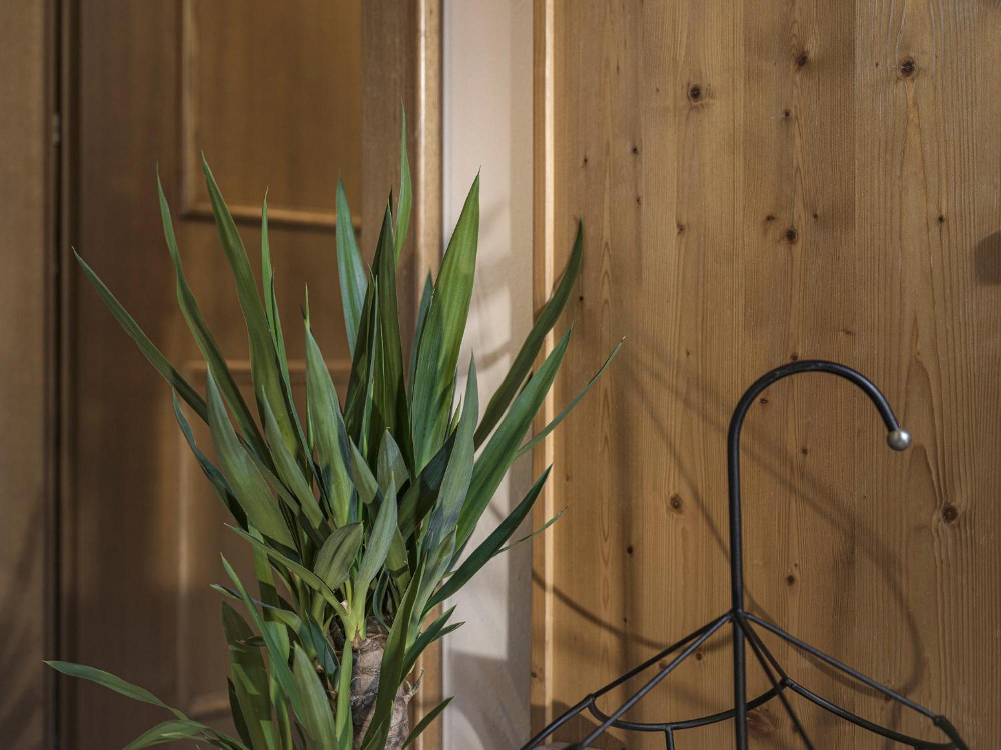 Appartement Geisler Finkenberg Zewnętrze zdjęcie